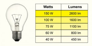 CFS Electrical » Blog Archive Types Of LightBulbs And How To Change Them